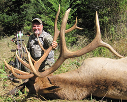 california roosevelt elk hunts