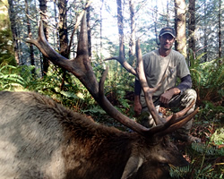 california roosevelt elk