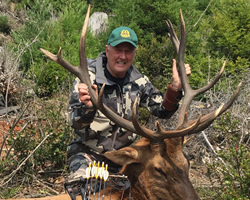 archery california elk hunt