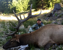 california elk hunt