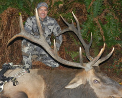 guided roosevelt elk hunts