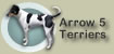 Arrow Five Terriers