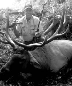 california roosevelt elk