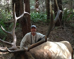 arrow five outfitters california roosevelt elk