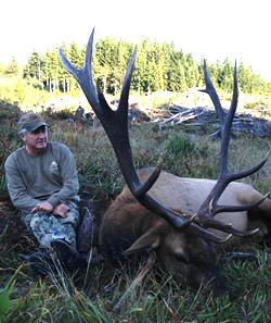 california roosevelt elk hunt