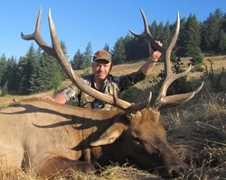 california roosevelt elk