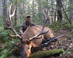 california roosevelt elk hunter